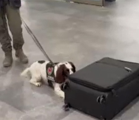 Yolcu valizinden 4.5 kilo uyuşturucu çıktı