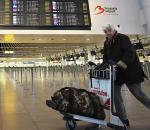 Brüksel Havalimanı’nda Grev Nedeniyle Uçuşlar İptal!