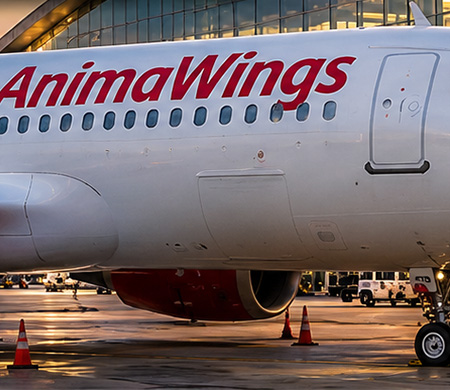 AnimaWings Uçuşlarını Geçici Olarak Askıya Aldı