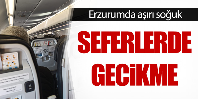 Erzurum'da aşırı soğuk seferlerde gecikmeye neden oldu