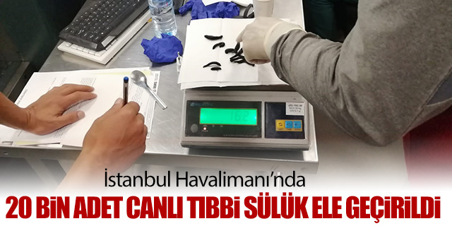 İstanbul Havalimanı’nda 20 bin adet canlı tıbbi sülük ele geçirildi