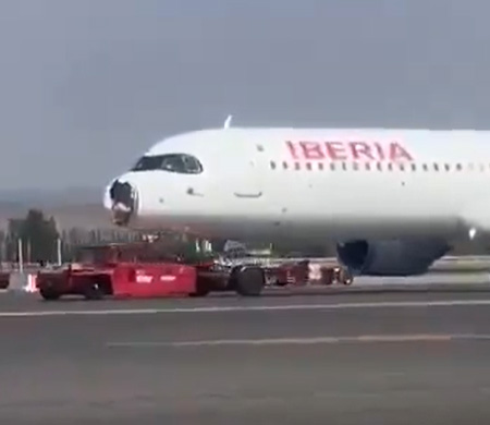 Kuş çarpan 2 aylık uçak bu hale geldi