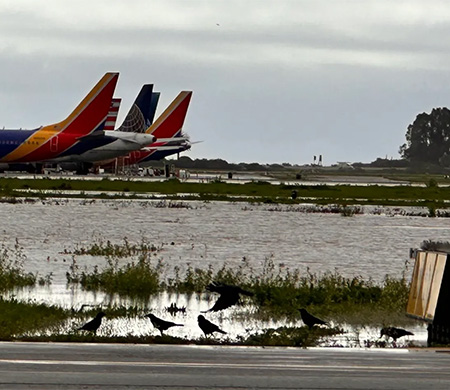 ABD'de şiddetli yağış hava trafiğini engelledi