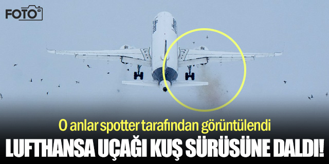 Lufthansa uçağı kuş sürüsüne daldı!