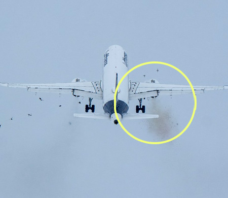 Lufthansa uçağı kuş sürüsüne daldı!