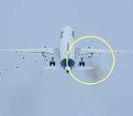 Lufthansa uçağı kuş sürüsüne daldı!