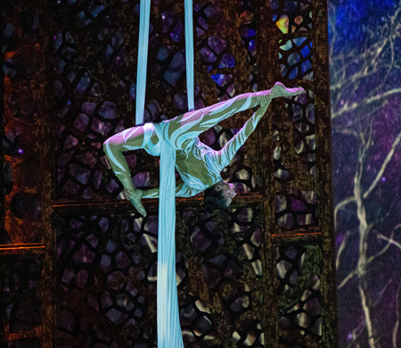 Emirates’ten Yolcularına Dubai’de Ücretsiz La Perle Gösterisi