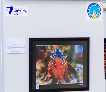 "Kaptan'ın Seyir Defteri" sergisi Fraport TAV Antalya Havalimanı'nda açıldı