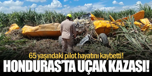Tarım uçağı düştü: Pilot hayatını kaybetti!