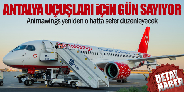 Animawings, Antalya Seferlerine Geri Dönüyor