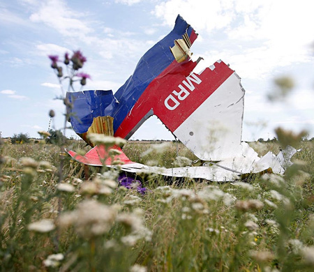 BM Havacılık Konseyi: MH17 Uçağının Düşürülmesinden Rusya Sorumlu