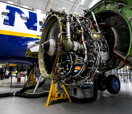 Ryanair Uçağındaki Motor Arızasında Kuş Kalıntıları Bulundu