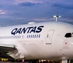 Qantas Uçağını Tahtakuruları Bastı!
