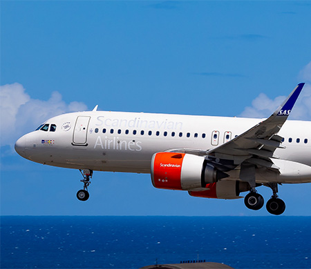 SAS uçağında fare krizi; Geri döndü!