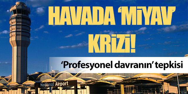 Havada 'miyav' sesleri krize neden oldu!