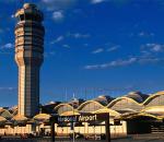 Havada 'miyav' sesleri krize neden oldu!