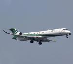 Iraqi Airways, Yeni Uluslararası Hatlar Açtı