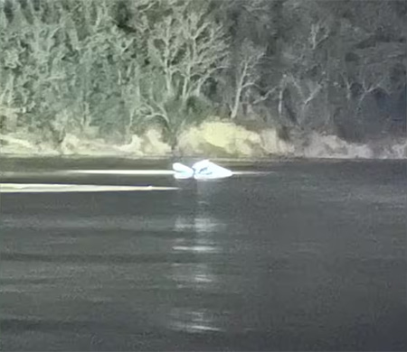 ABD'de küçük uçak nehre düştü; 3 kişi hayatını kaybetti