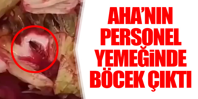 İstanbul Havalimanı'nda personel yemeğinden böcek çıktı