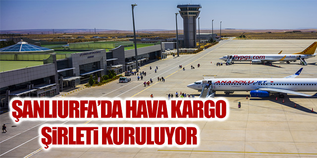 Şanlıurfa'da hava kargo şirketi kuruluyor