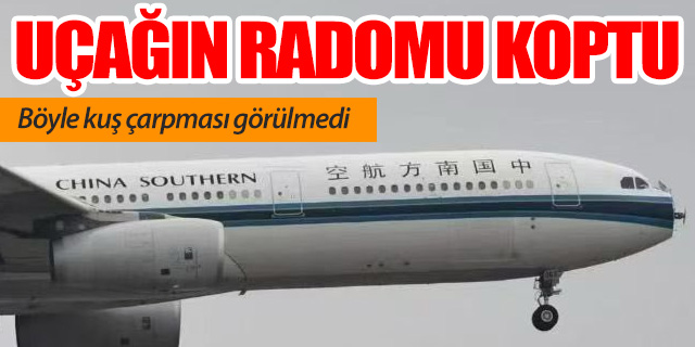 Uçak küş sürüsüne girdi radomu koptu