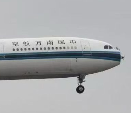 Uçak küş sürüsüne girdi radomu koptu