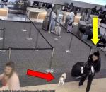 Vicdansız yolcu uçağa alınmayan köpeğini öldürdü