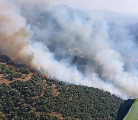 Söke'deki yangına 9 helikopter 3 uçakla müdahale
