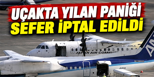 Uçakta yılan paniği!