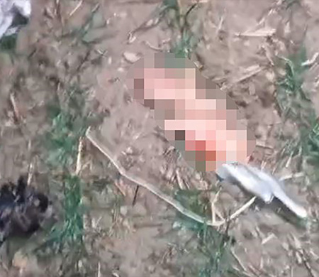 Uçağın enkaz görüntüleri paylaşıldı