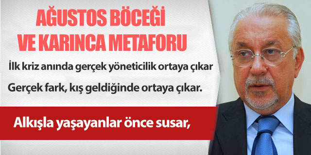 KÖŞE / AĞUSTOS BÖCEĞİ VE KARINCA METAFORU