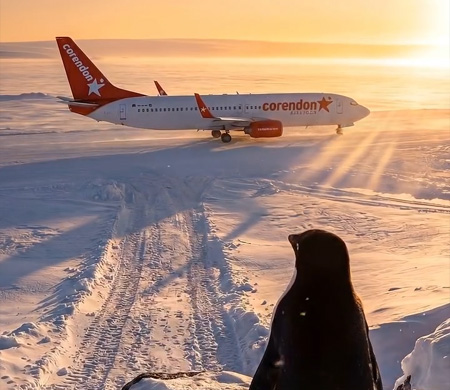 Corendon’dan viral “yalnız penguen”e ilham veren video
