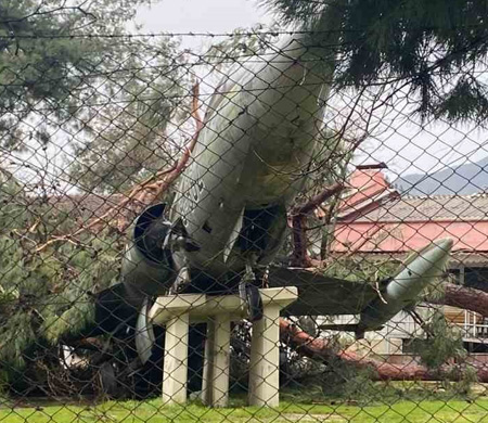 Üzerine ağaç düşen uçak zarar gördü