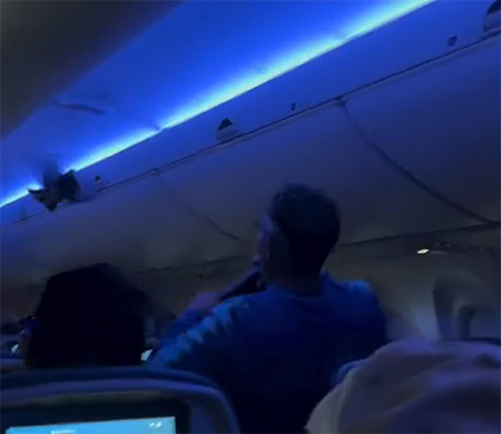 Delta uçağında 'güvercin' krizi!