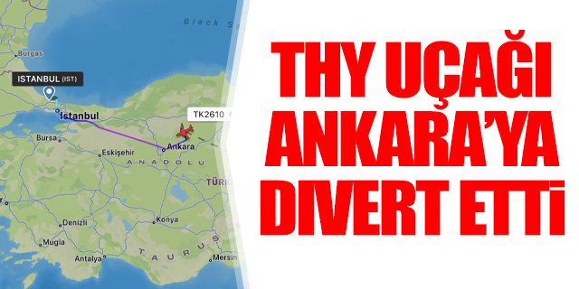 THY'nin Diyarbakır uçağı Ankara'ya acil iniş yaptı