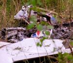 Almanya'da ultralight uçak düştü: Pilot hayatını kaybetti!