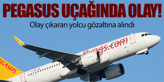 Pegasus uçağında olay çıkardı; Gözaltına alındı!