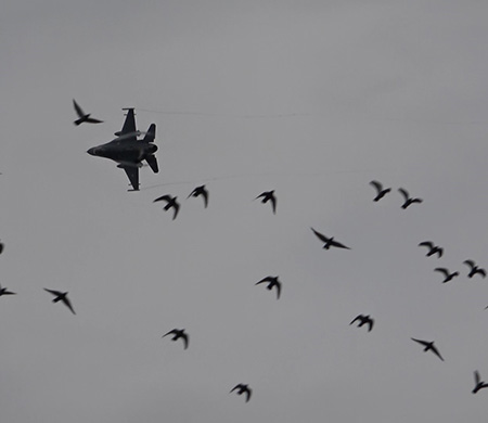 F-16'lardan nefes kesen gösteri