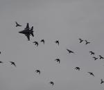 F-16'lardan nefes kesen gösteri